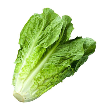 Lettuce Romaine 500g